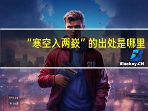 “寒空入两嶔”的出处是哪里