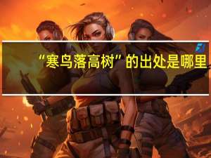 “寒鸟落高树”的出处是哪里