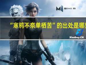“寒鸦不奈单栖苦”的出处是哪里