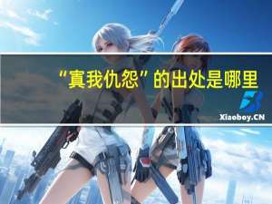“寘我仇怨”的出处是哪里