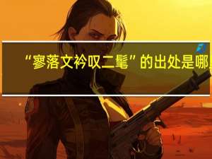“寥落文衿叹二髦”的出处是哪里