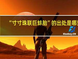 “寸寸珠联巨蚌胎”的出处是哪里