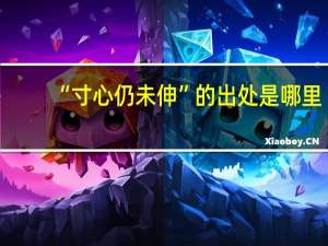 “寸心仍未伸”的出处是哪里