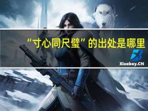 “寸心同尺璧”的出处是哪里