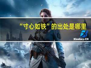 “寸心如铁”的出处是哪里