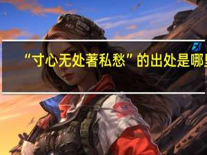 “寸心无处著私愁”的出处是哪里
