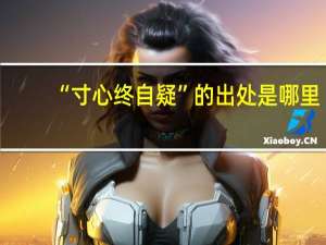 “寸心终自疑”的出处是哪里