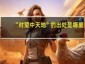 “对望中天地”的出处是哪里