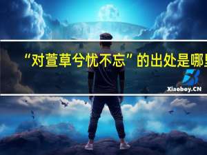 “对萱草兮忧不忘”的出处是哪里