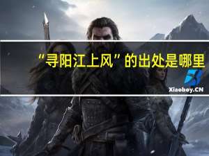“寻阳江上风”的出处是哪里