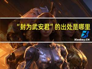 “封为武安君”的出处是哪里