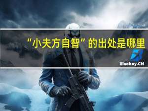 “小夫方自智”的出处是哪里