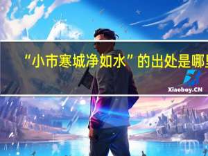 “小市寒城净如水”的出处是哪里