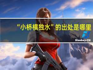 “小桥横独水”的出处是哪里