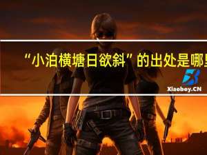 “小泊横塘日欲斜”的出处是哪里