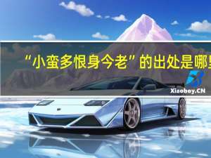 “小蛮多恨身今老”的出处是哪里