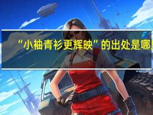 “小袖青衫更辉映”的出处是哪里