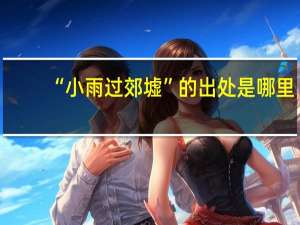 “小雨过郊墟”的出处是哪里