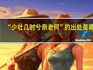 “少壮几时兮奈老何”的出处是哪里