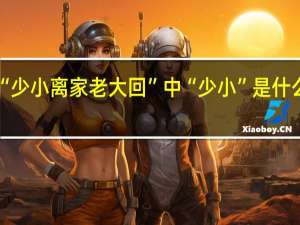 “少小离家老大回”中“少小”是什么意思