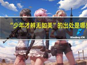 “少年才辨无如美”的出处是哪里