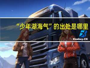 “少年湖海气”的出处是哪里