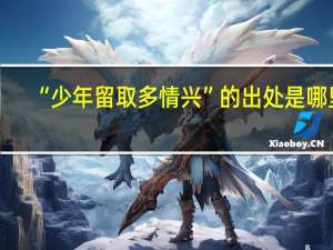 “少年留取多情兴”的出处是哪里