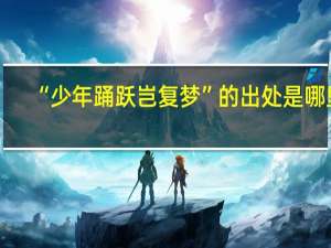 “少年踊跃岂复梦”的出处是哪里