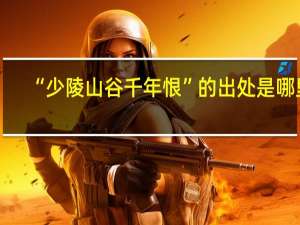 “少陵山谷千年恨”的出处是哪里