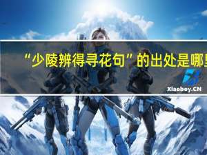 “少陵辨得寻花句”的出处是哪里