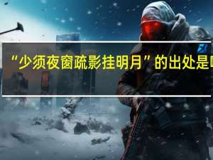 “少须夜窗疏影挂明月”的出处是哪里