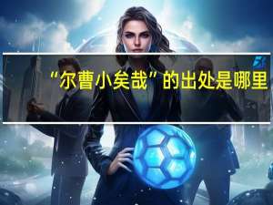 “尔曹小矣哉”的出处是哪里