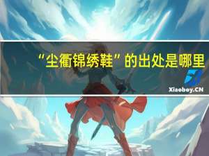 “尘衢锦绣鞋”的出处是哪里