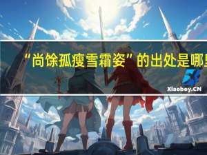 “尚馀孤瘦雪霜姿”的出处是哪里