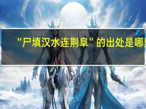 “尸填汉水连荆阜”的出处是哪里