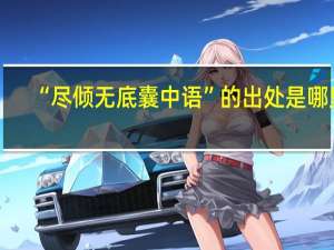 “尽倾无底囊中语”的出处是哪里