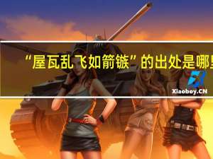 “屋瓦乱飞如箭镞”的出处是哪里
