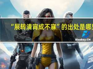 “展转清宵成不寐”的出处是哪里