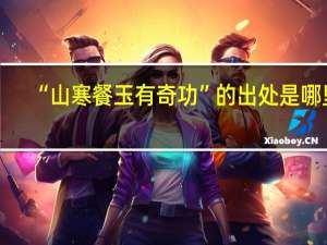 “山寒餐玉有奇功”的出处是哪里