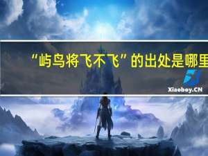“屿鸟将飞不飞”的出处是哪里
