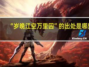 “岁晚江空万里囚”的出处是哪里
