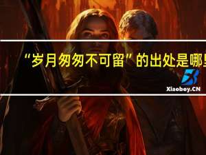 “岁月匆匆不可留”的出处是哪里