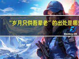 “岁月只供吾辈老”的出处是哪里