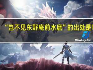 “岂不见东野庵前水磨”的出处是哪里