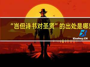 “岂但诗书对圣贤”的出处是哪里