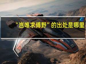 “岂唯求傅野”的出处是哪里