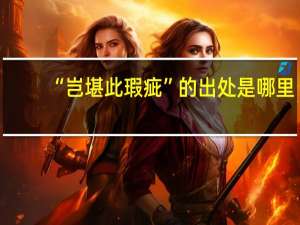 “岂堪此瑕疵”的出处是哪里