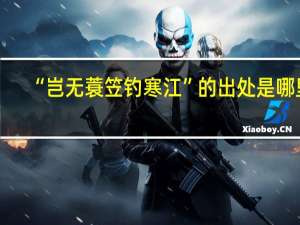 “岂无蓑笠钓寒江”的出处是哪里