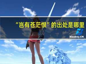 “岂有苍茫恨”的出处是哪里