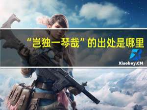 “岂独一琴哉”的出处是哪里